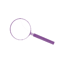 100Leiden look looking kijken kijk Sticker