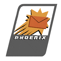 Voting Rights Phoenix Sticker by Creative Courage