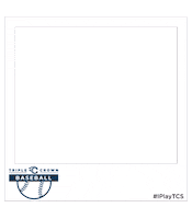 Baseball Photo Sticker by TripleCrownSports