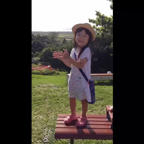 japan GIF by Solar Impulse