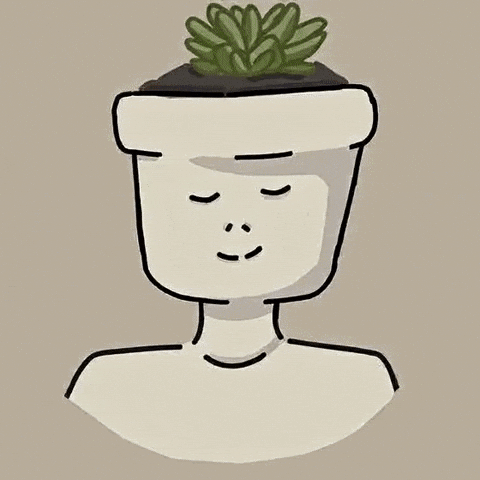 Plants Growing GIF by The LSD Hotel