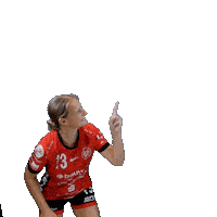 New Post Sticker by Hollenstedt-Handball