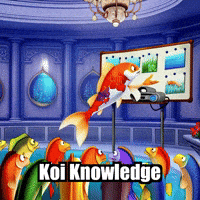 Higher Education Presentation GIF by TheConfishius