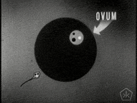 black and white art GIF by Okkult Motion Pictures