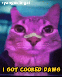 Ryan Gosling Cat GIF