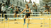 track & field wave GIF by GreenWave