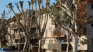 The First Thing You Need To Know About Kevin Hart