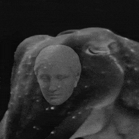 Head Collage GIF by Trevor Anderson