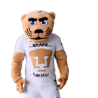 Sport Soccer Sticker by Pumas MX