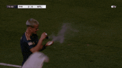 Philadelphia Union Celebration GIF by Major League Soccer
