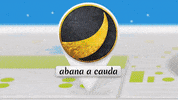 GIF by abana a cauda