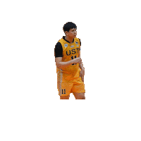 Joshua Sticker by UST Growling Tigers