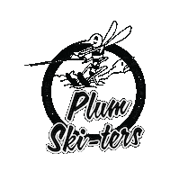 Water Skiing Sticker by Plum Ski-ters Water Ski Show Team