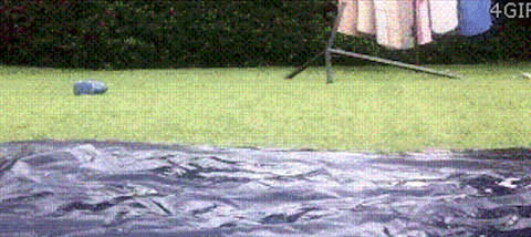 Fat Guy Deal With It GIF by BioSteel Sports