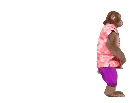 Fun Monkey Sticker