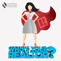 carealtors realtor realtors first time home buyer california realtor GIF