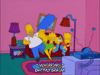homer simpson GIF