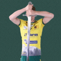 Hit Sword GIF by Aluron CMC Warta Zawiercie