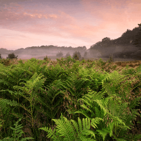 jeb-kratzig giphygifmaker giphyattribution jeb kratzig GIF