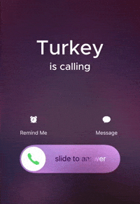 Turkey GIF