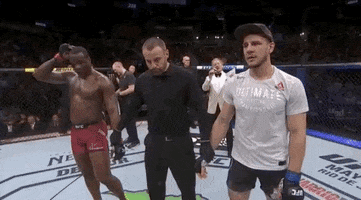 ufc sports sport ufc mma GIF