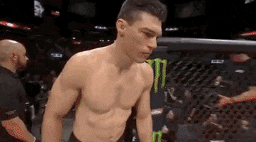 ufc sports sport ufc mma GIF