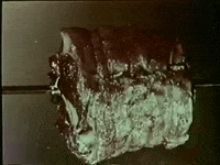 scottok drive-in intermission snack bar GIF