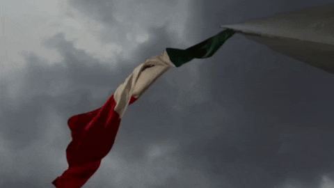 flag Df GIF by México