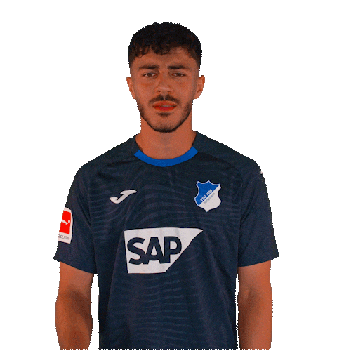 Bundesliga Finger Sticker by TSG Hoffenheim