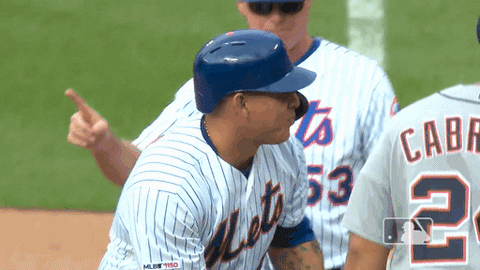ny mets baseball GIF by New York Mets