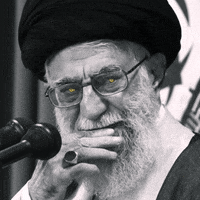 Supreme Leader Politics GIF by xponentialdesign