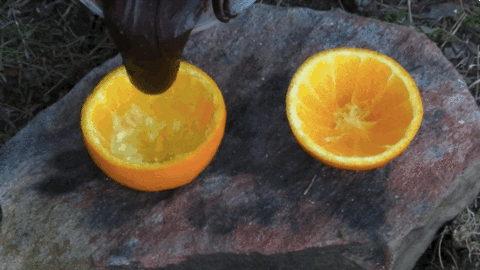 orange GIF