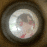 Fisheye Peephole GIF