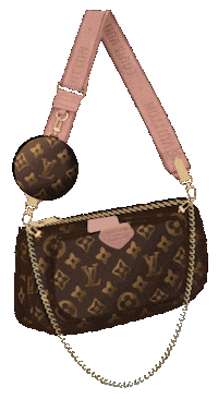 Louis Vuitton Bag Sticker