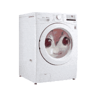 Washing Machine Kasane Teto Sticker