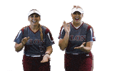 Elon Softball Sticker by Elon Phoenix