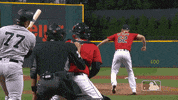Screaming Major League Baseball GIF by MLB