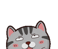 Cat No Sticker by VITA VITA ‧ 塔仔不正經