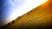 oklahoma GIF