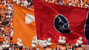 Football College GIF by Tennessee Athletics