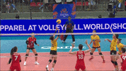 Take That Yes GIF by Volleyball World