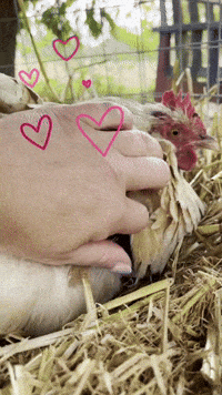Life Love GIF