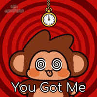 Confused You Got Me GIF by Chimpers