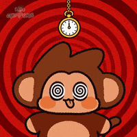 Confused You Got Me GIF by Chimpers