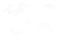 Halloween Hallo Sticker by haenaillust
