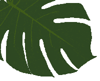 Plant Sticker