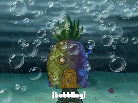 season 8 episode 3 GIF by SpongeBob SquarePants