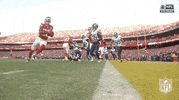 National Football League GIF by NFL