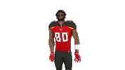 National Football League Sticker by Tampa Bay Buccaneers