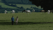 HallmarkChannel love fun cute couple GIF